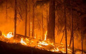 west coast wildfires 2021